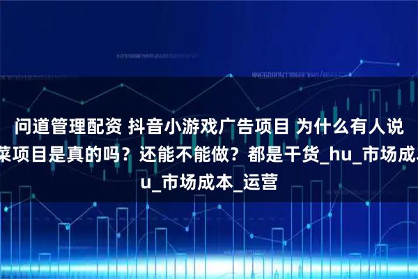 问道管理配资 抖音小游戏广告项目 为什么有人说是割韭菜项目是真的吗？还能不能做？都是干货_hu_市场成本_运营