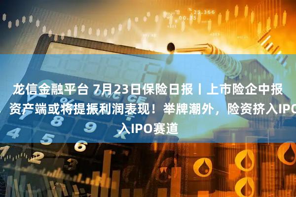龙信金融平台 7月23日保险日报丨上市险企中报前瞻，资产端或将提振利润表现！举牌潮外，险资挤入IPO赛道